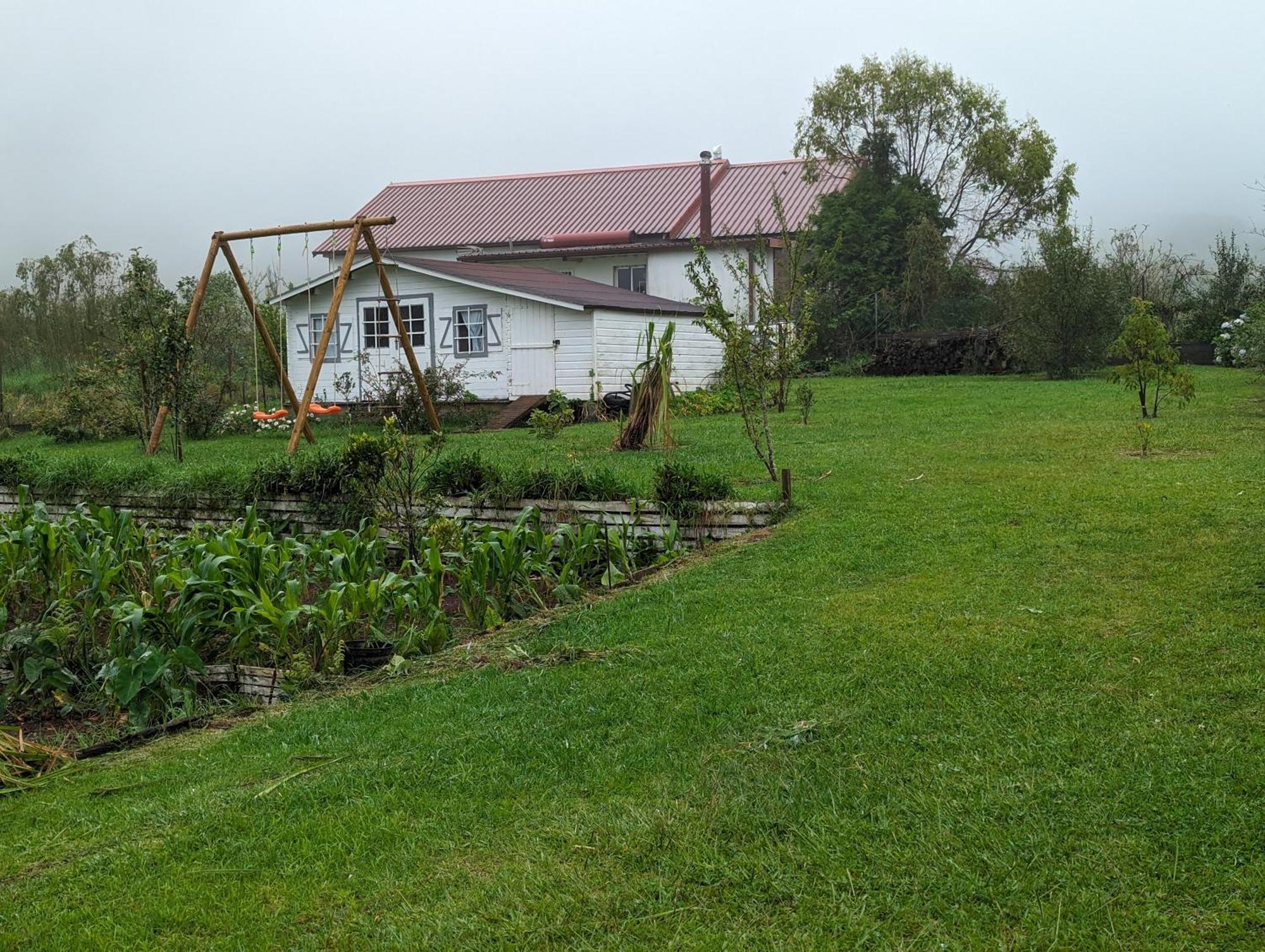 Villa Coeur Des Plaines La-Plaine-des-Palmistes Exteriör bild